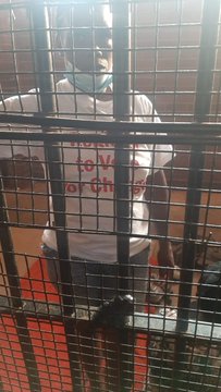 MDC-A youths arrested doing door to door register to vote campaign in Chitungwiza- party
