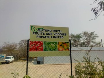 PICTURES: President Mnangagwa dates Mutoko, to launch Agro processing plant