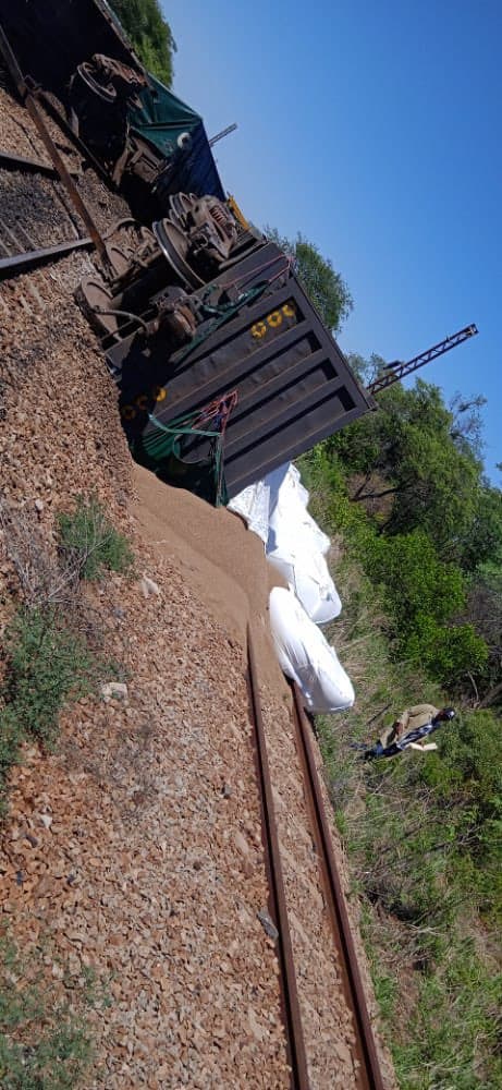 PICTURES: 8 NRZ railway wagons carrying fertilizer detail in Harare