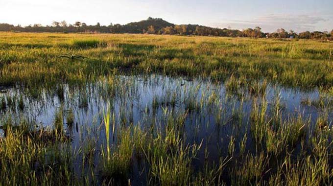 Authorities in Harare urged to preserve wetlands