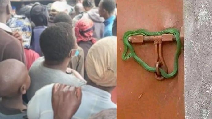 PICTURE: Landlord Locks Tenant’s Gate With Live Snake Over Rent Arrears