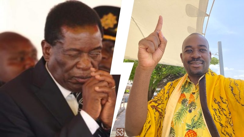 Mnangagwa to approach courts after defeat, says Chamisa as George Charamba mockingly says NgaapindeHakeMukoma