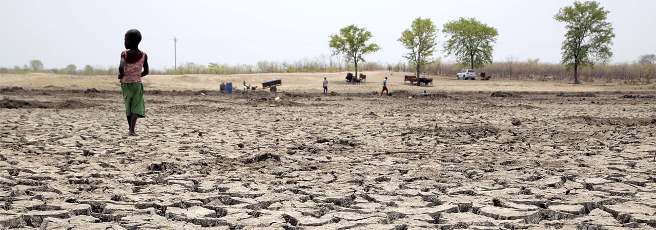 Zambia to host AGN on climate change