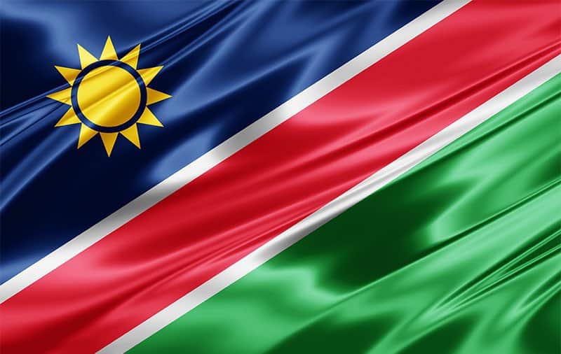 Chamisa Congratulates Namibia on Uhuru Day