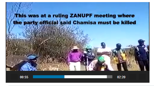 Nelson Chamisa, his children, CCC supporters must be killed: Zanu PF official tells supporters in rally VIDEO