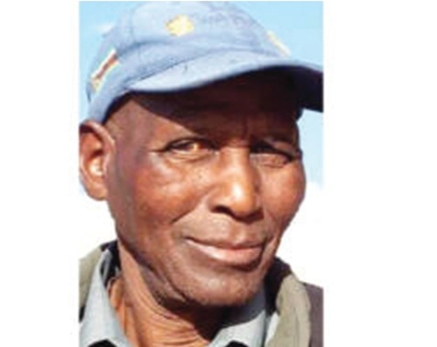 Liberation war stalwart Nkomo declared national hero