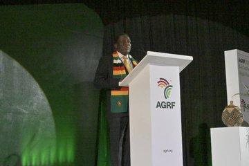Africa has everything needed to excel, Mnangagwa