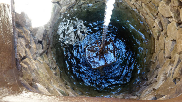 SAD NEWS|| Juvenile Strays from Mother, Collapses in Well