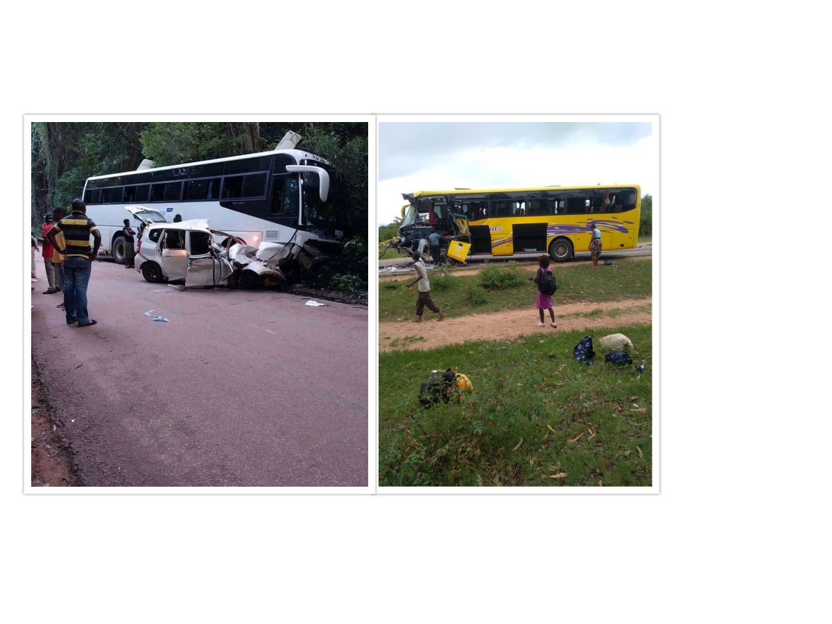 Zupco Honda Fit horror accident in Chirinda Forest Chipinge, Rimbi Tours bus collision along Harare Nyamapanda road