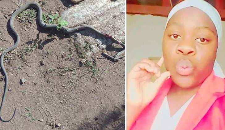 BIZARRE: ‘A’ level student dies after snake bite in classroom