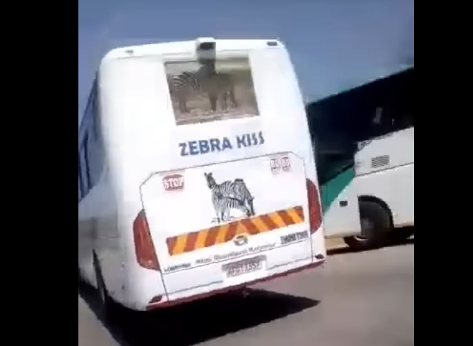 WATCH Zim Road Wars: VIDEOS of Zebra Kiss Bus blocking Kabor Bus & Others blocking them emerge