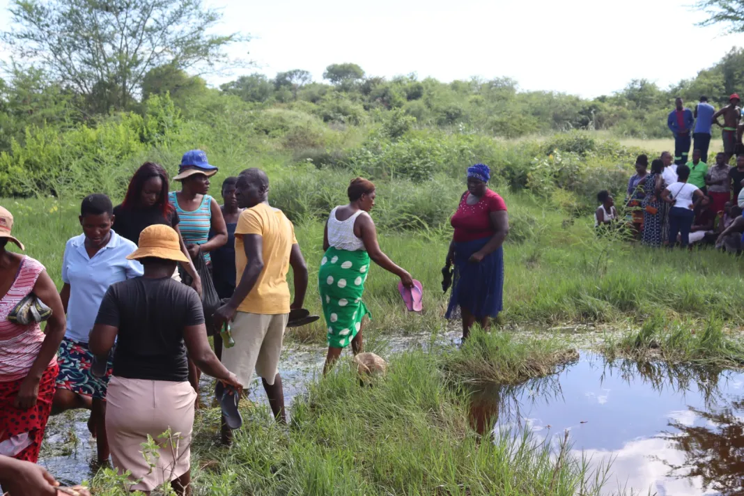 2 youngsters drown in municipality pond in Beitbridge