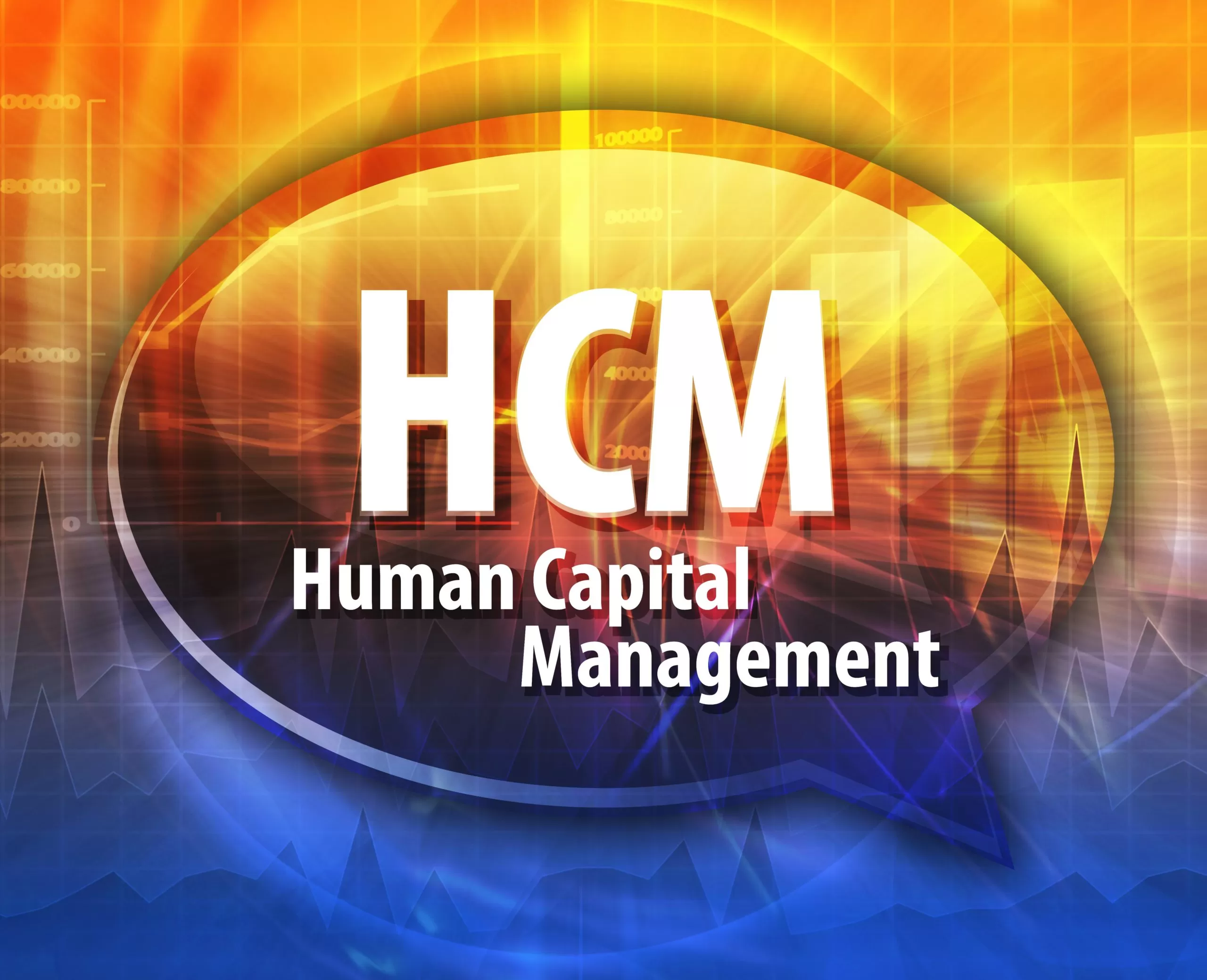 Finding the Right HCM System for Your Business