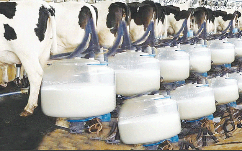 Zimbabwe targets 90 million litres of milk in 2023