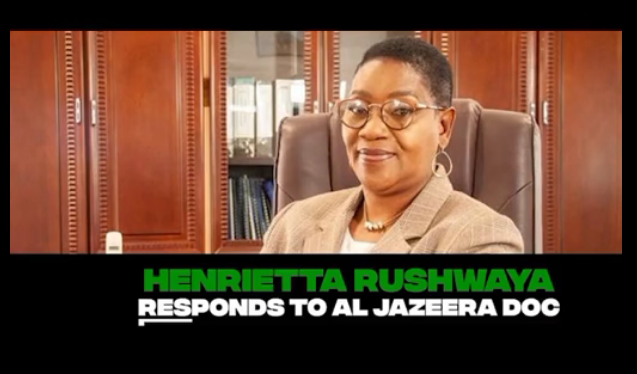 Alleged Henrietta Rushwaya VIDEO: Zimbabweans are dunderheads