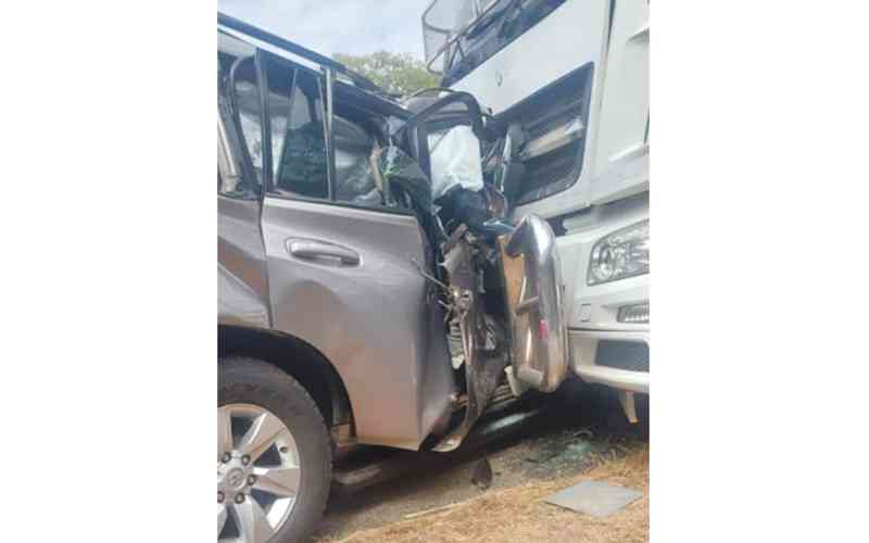 Mnangagwa aides killed in horror road accident near Kwekwe