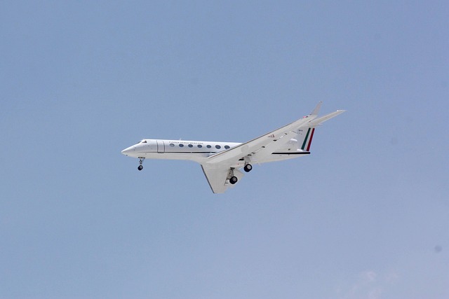 Thabo Bester, Dr Nandipha Magudumana repatriated in R1.4 million private charter flight