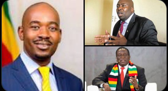 Kasukuwere is ZANU PF project, political commentator warns Zimbabweans