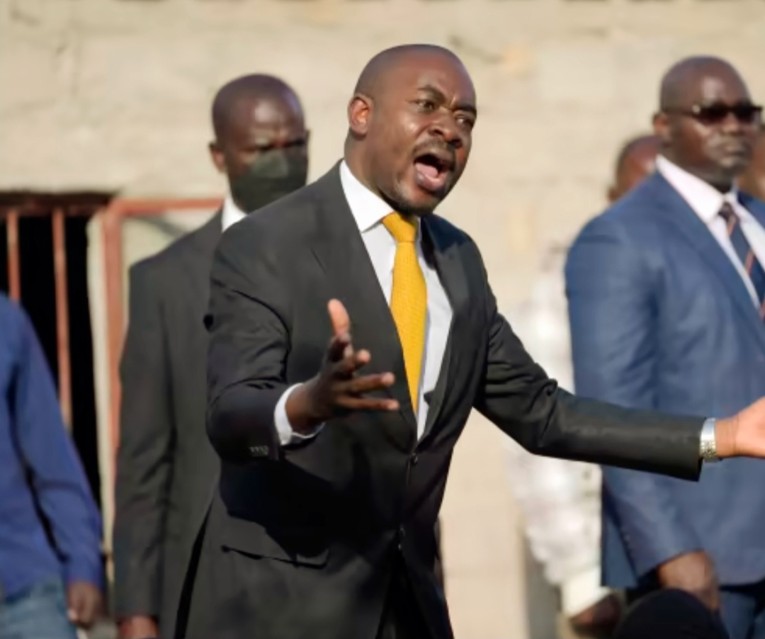 You are too weak, change tactics; ZANU PF don’t care about legitimacy- Chamisa told