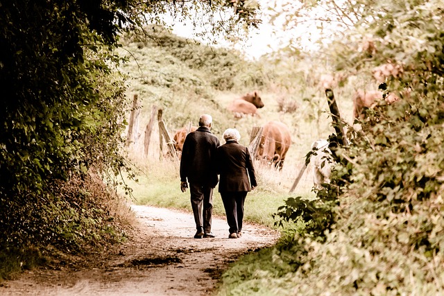 Living Alone: How Older Adults Can Prevent Loneliness