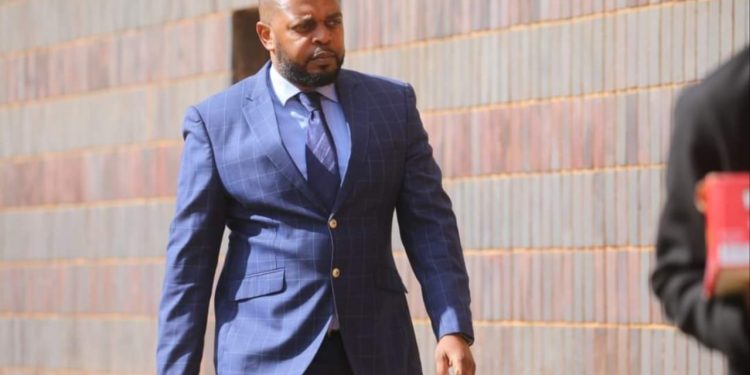 12 years jail for rapist businessman Ronnie Ngwenya