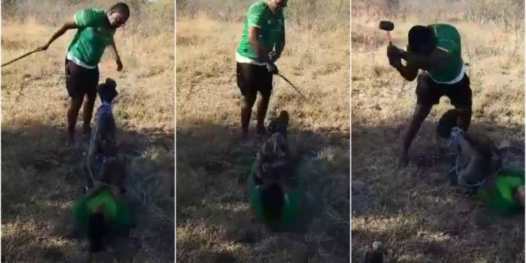 VIDEO:  Is this Zanu PF’s Energy Mutodi beating opposition CCC activist with hammer and whip?