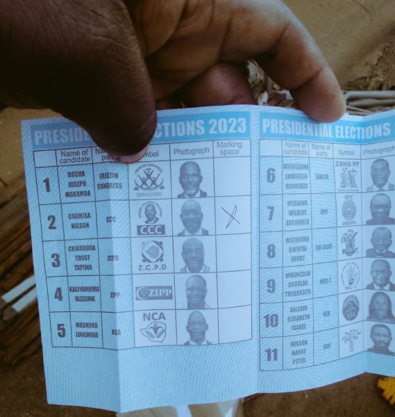 Zimbabwe 2023 postal votes leaked online…pictures