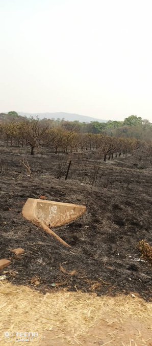Kasukuwere’s citrus farm in Mazowe comes under arson attack
