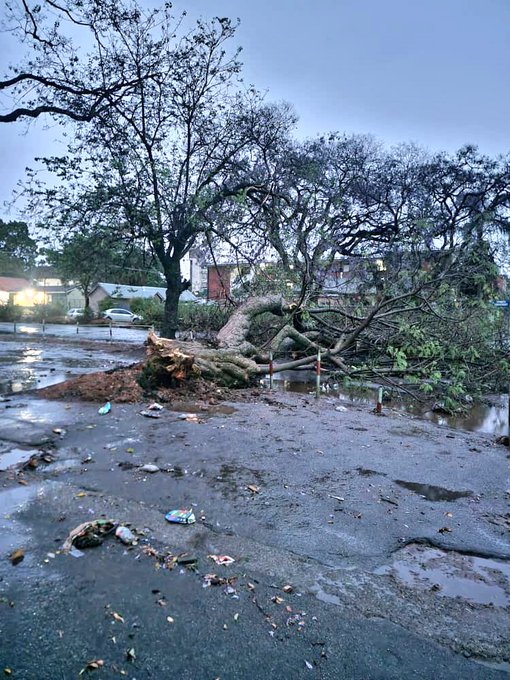 Heavy downpours leaves trail of destruction in Zimbabwe