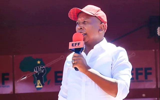 ZANU PF a criminal syndicate that steals elections- says Malema