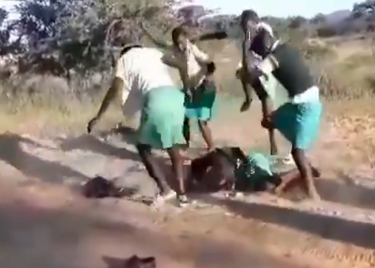 VIDEO: Out of control girls filmed in bullying Incident at Ruwangwe Day Secondary School, Nyanga, Manicaland
