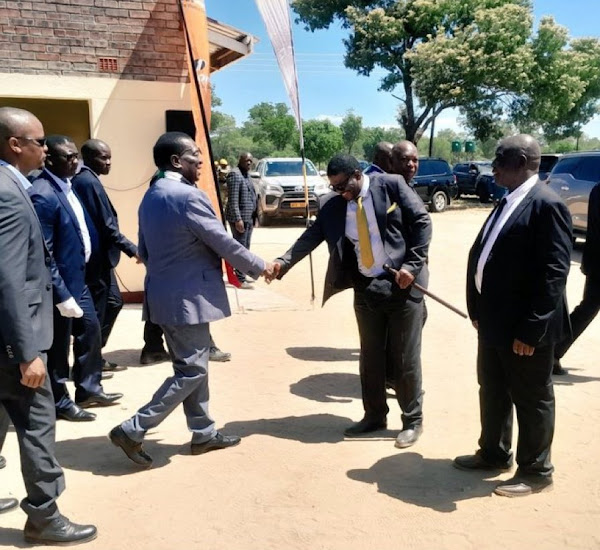 VIDEO, PICTURES: Tshabangu Meets President Mnangagwa, Defends Alliance