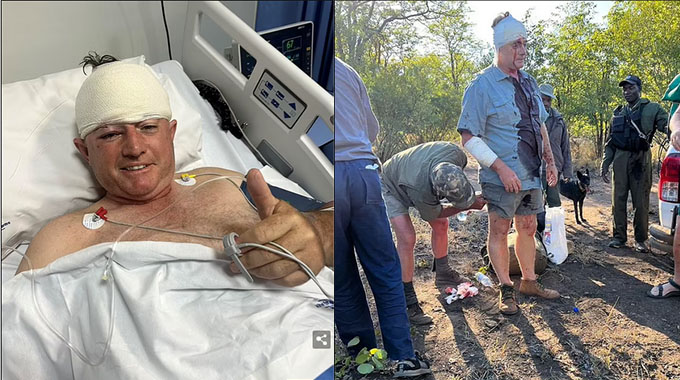 Former Zimbabwe Cricketer Guy Whittall Survives Leopard Attack, Rescued by Loyal Dog