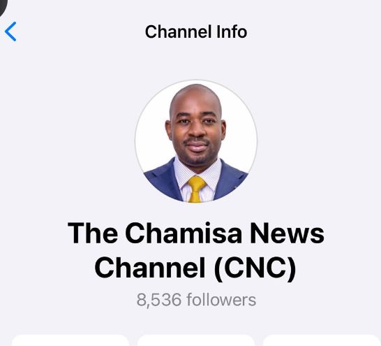 Chamisa launches News Channel
