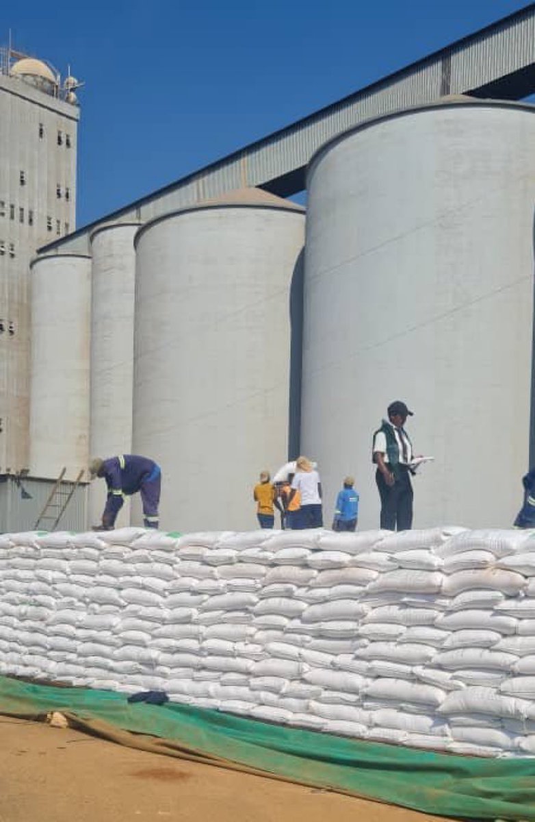 Zimbabwe spends 5.98% of exports bill on maize importation