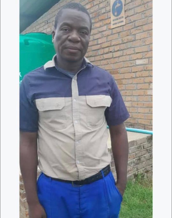 HE WORKS IN BOTSWANA: Mnangagwa lookalike breaks internet