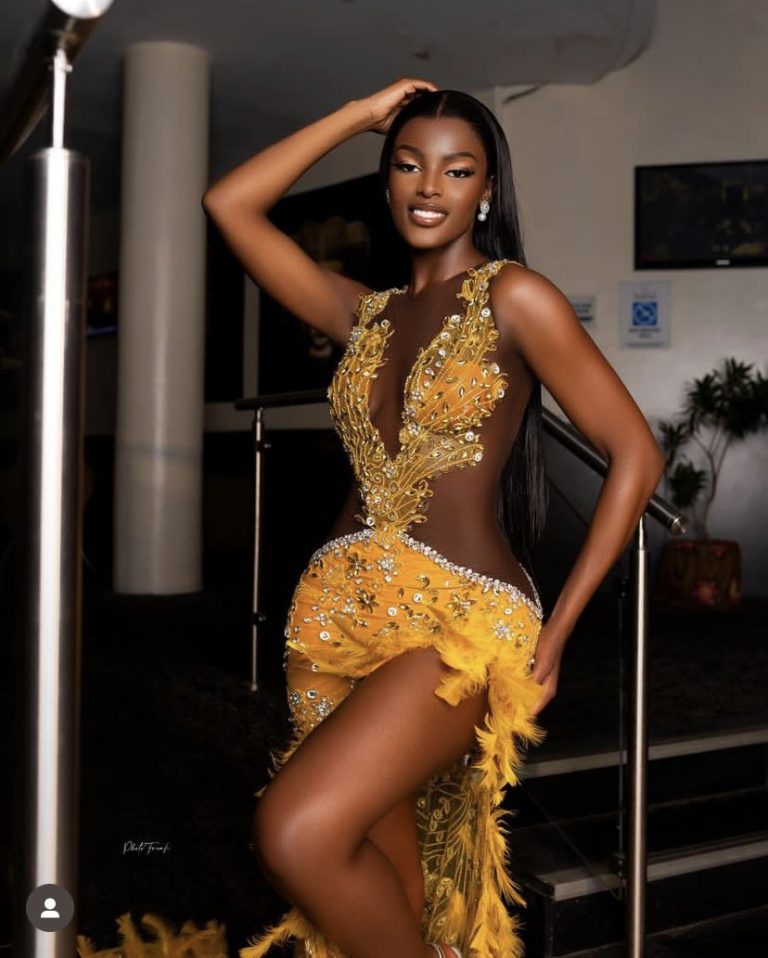 BREAKING: Chidimma Adetshina wins Miss Universe Nigeria 2024