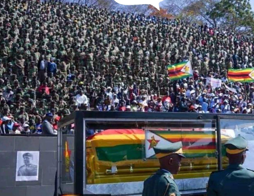 SHOW OF POWER: Zim military show solidarity with Chiwenga