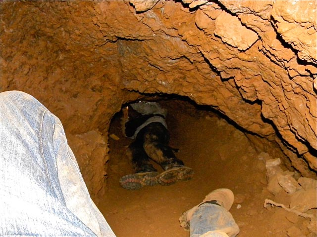 Several illegal miners feared dead after shaft collapse in Kwekwe